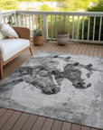Addison Rugs Galion Gray Washable Indoor-Outdoor Rug