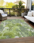 Addison Rugs Jaelion Aloe Washable Indoor-Outdoor Rug