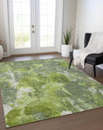 Addison Rugs Jaelion Aloe Washable Indoor-Outdoor Rug