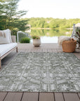 Laearis Gray Washable Indoor-Outdoor Rug