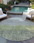 Raeon Aloe Washable Indoor-Outdoor Rug