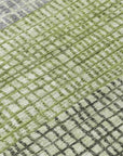 Raeon Aloe Washable Indoor-Outdoor Rug
