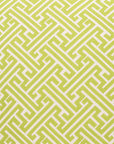 D.V. Kap Amazed Green Throw Pillow With Insert