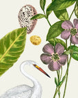 LOOMLAN Artistry Of Nature III Floating Canvas Art