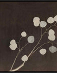 Leftbank Art Bittersweet Eucalyptus Hand Crafted Canvas Art