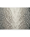 D.V. Kap Outdoor Cerbiatta Lumbar Pillow - Onyx