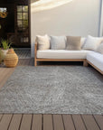 LOOMLAN Rugs Terra Gray Washable Indoor-Outdoor Rug