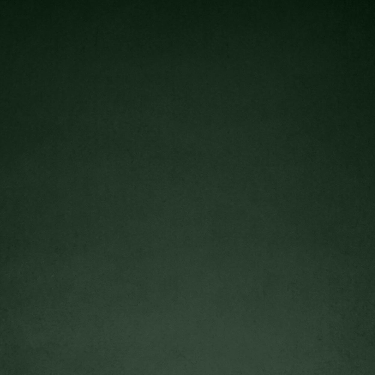 D.V. Kap Posh Box Forest Green Throw Pillow With Insert