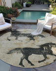 Addison Rugs Galas Brown Washable Indoor-Outdoor Rug
