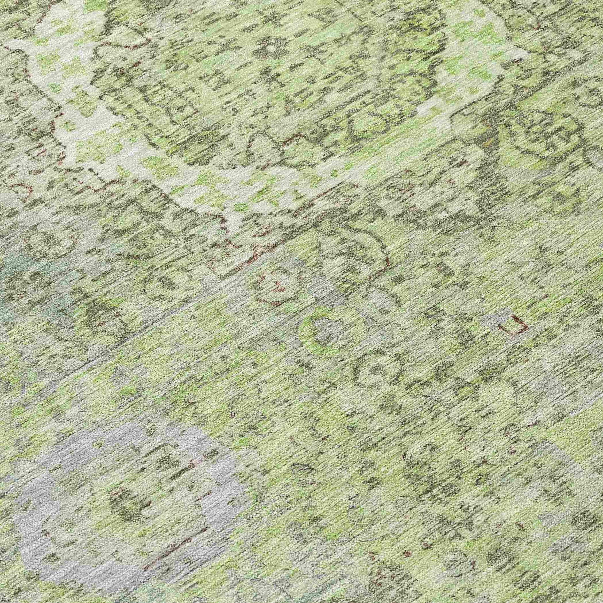 Addison Rugs Irias Aloe Washable Indoor-Outdoor Rug