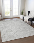 Addison Rugs Iriora Gray Washable Indoor-Outdoor Rug