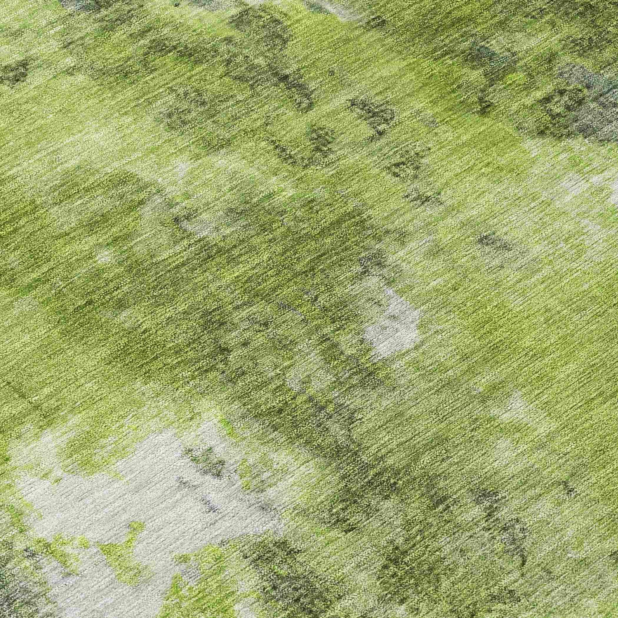 Addison Rugs Jaelion Aloe Washable Indoor-Outdoor Rug