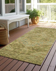 Addison Rugs Kaelanor Aloe Washable Indoor-Outdoor Rug