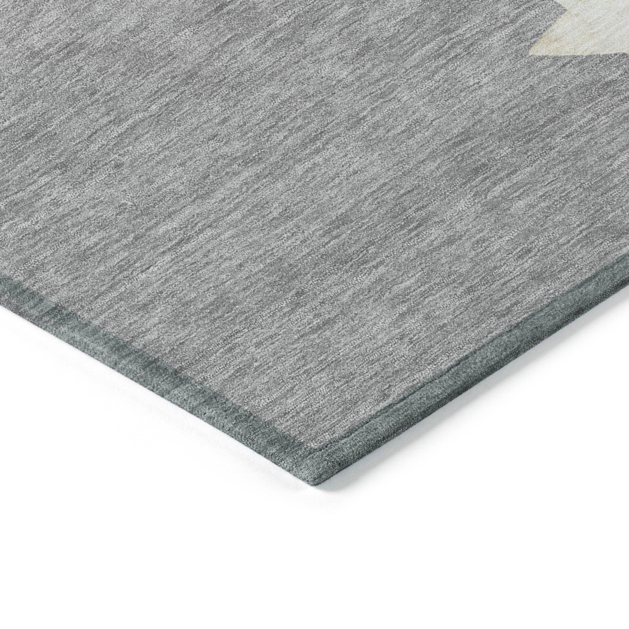 Raeain Gray Washable Indoor-Outdoor Rug