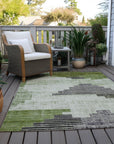 Raeel Fern Washable Indoor-Outdoor Rug