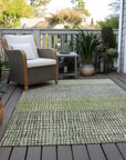 Raeon Aloe Washable Indoor-Outdoor Rug