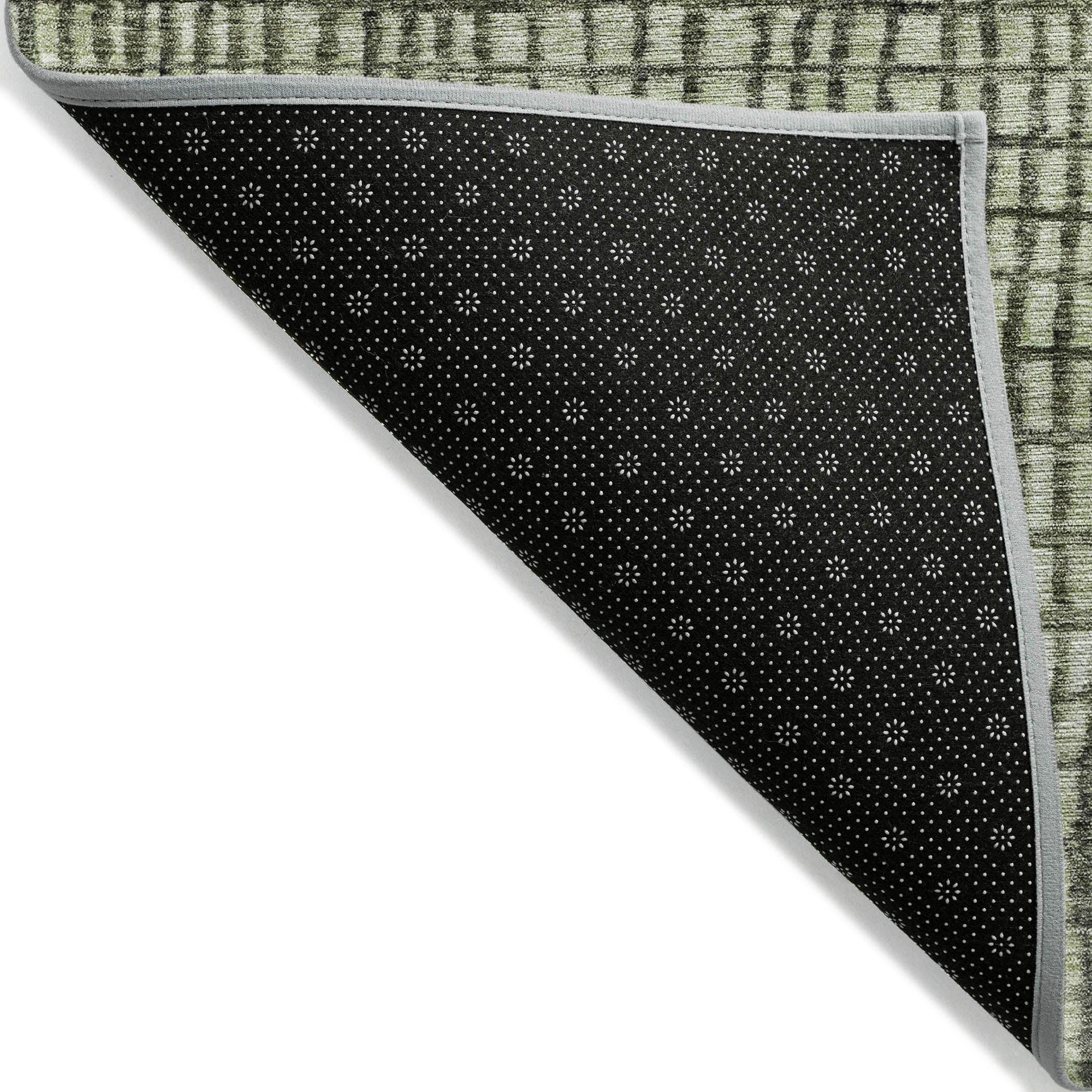 Raeon Aloe Washable Indoor-Outdoor Rug