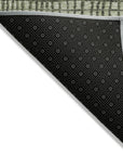Raeon Aloe Washable Indoor-Outdoor Rug