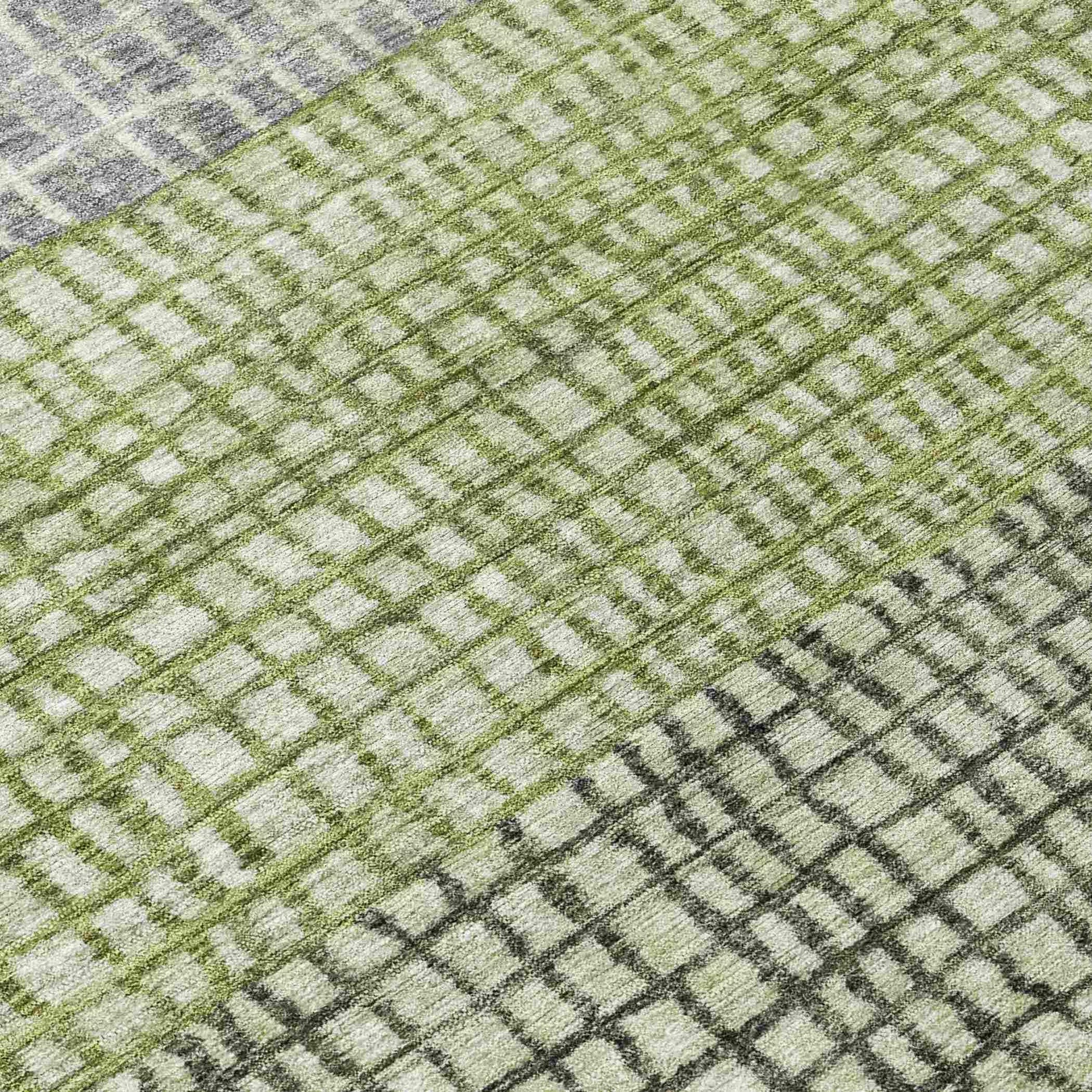 Raeon Aloe Washable Indoor-Outdoor Rug