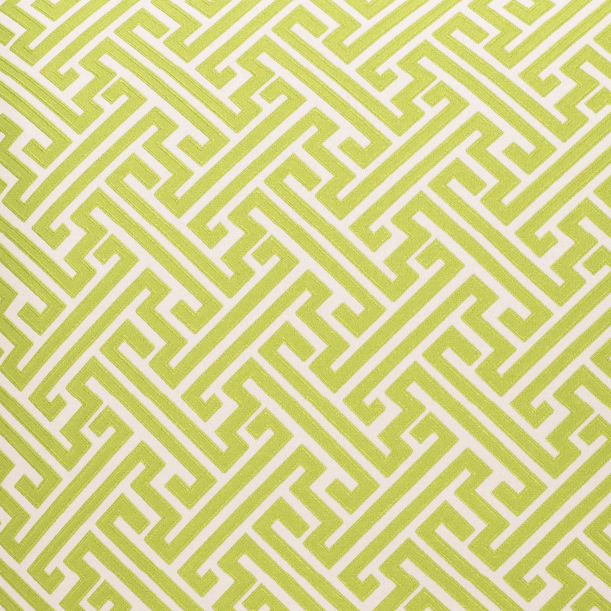 D.V. Kap Amazed Green Throw Pillow With Insert