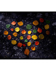 Leftbank Art For The Love of Fall Hand Crafted Canvas Art