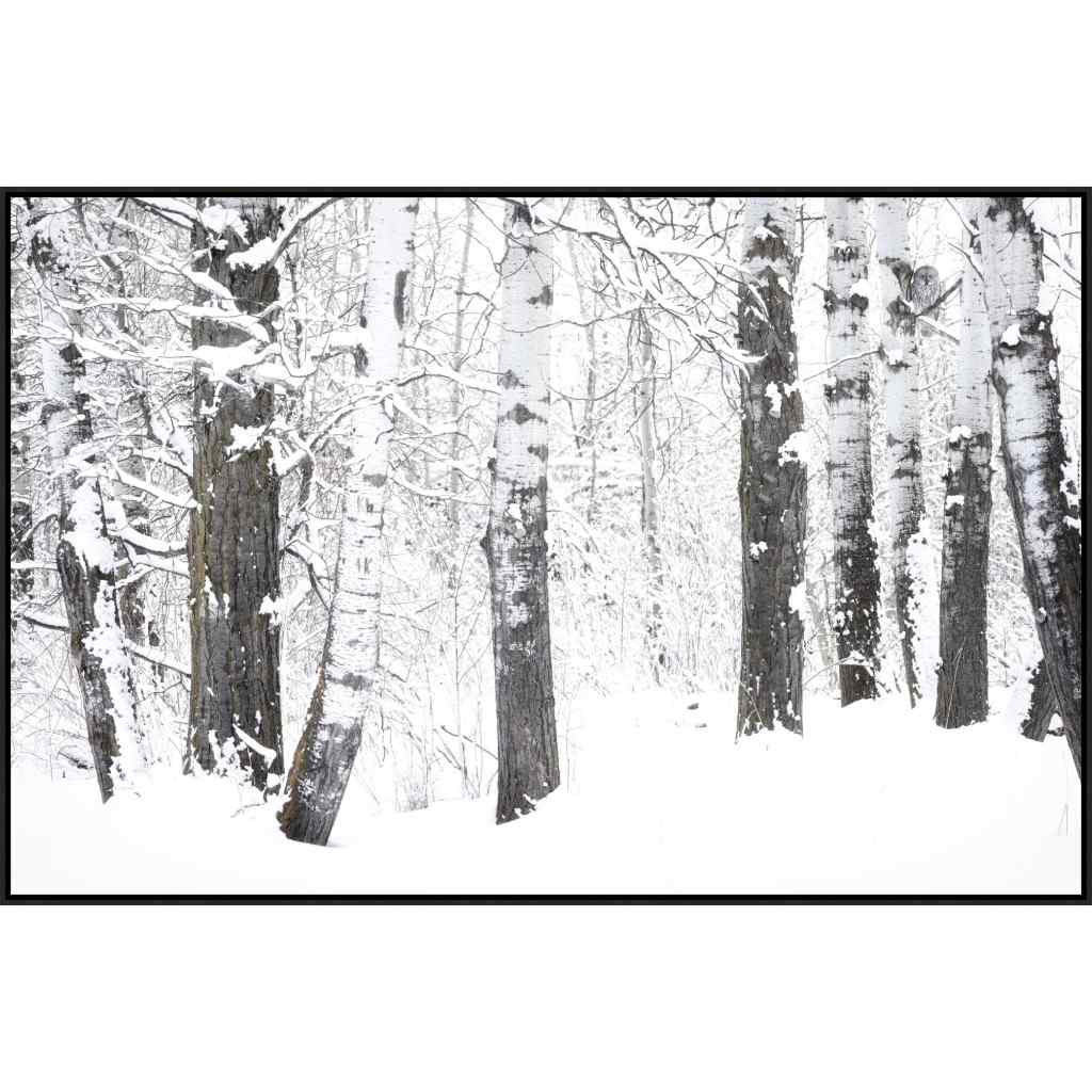 Leftbank Art Ghost in the Aspens Hand Crafted Canvas Art