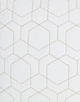 D.V. Kap Outdoor Hex Quilt Pillow - White