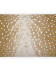 D.V. Kap Outdoor Cerbiatta Lumbar Pillow - Sisal
