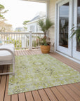 Addison Rugs Oriental Aloe Washable Indoor-Outdoor Rug