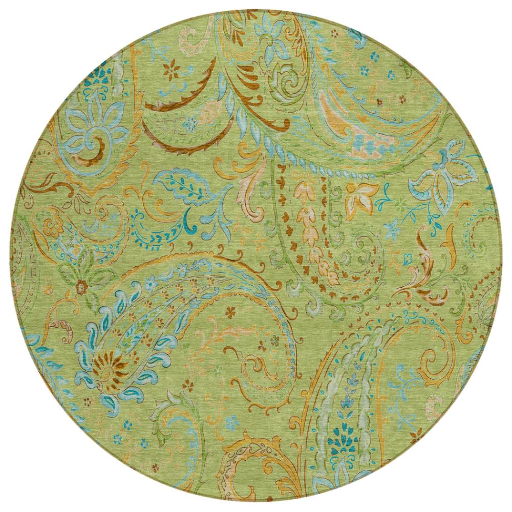Addison Rugs Paisley Aloe Washable Indoor-Outdoor Rug