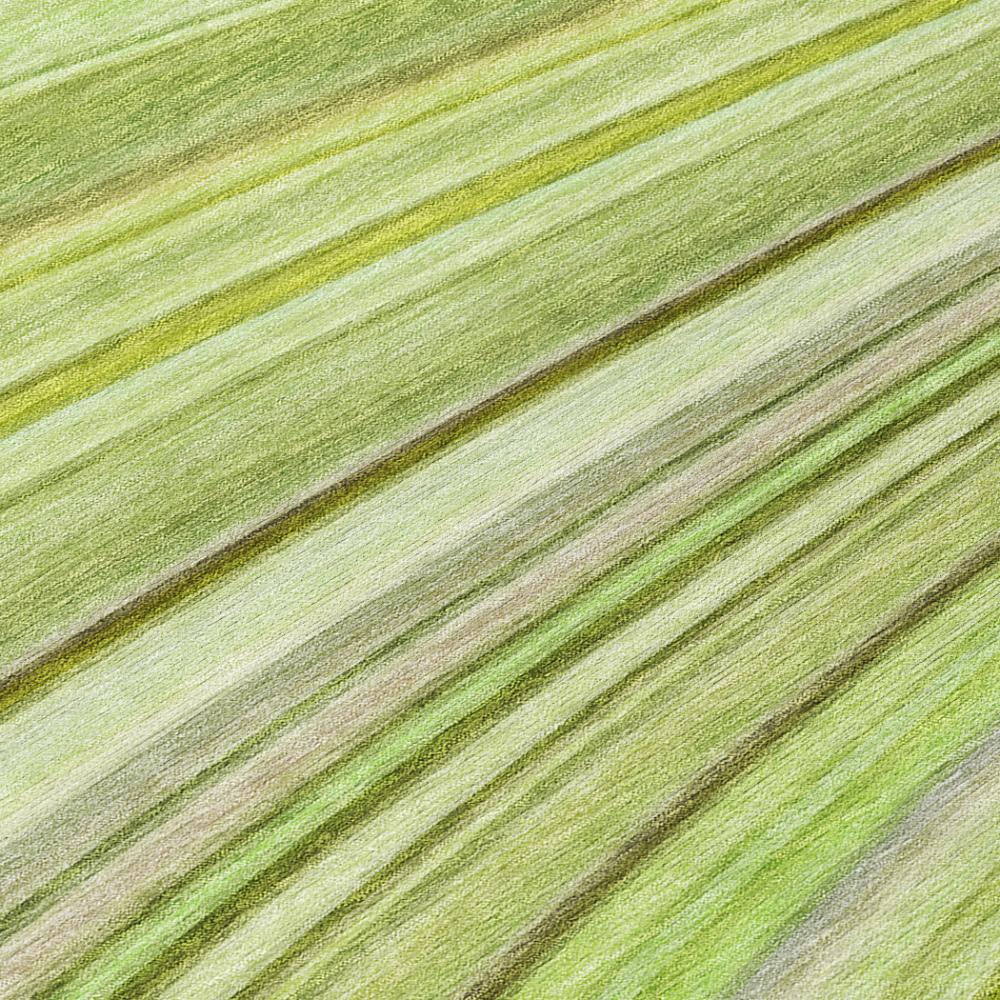 Addison Rugs Waves Green Washable Indoor-Outdoor Rug