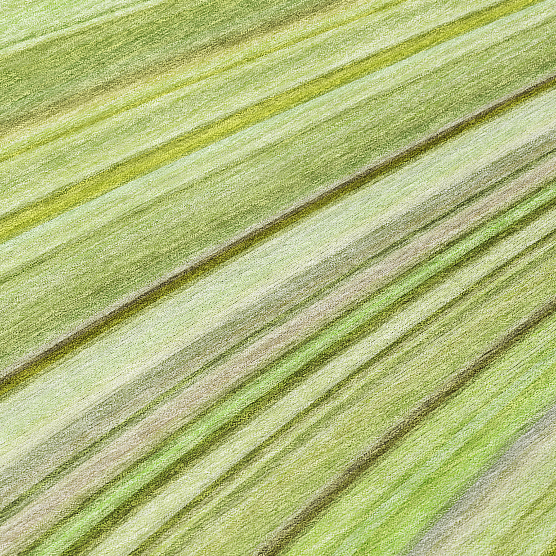 Waves Green Washable Indoor-Outdoor Rug