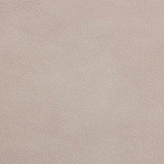 Regent Chalk leather