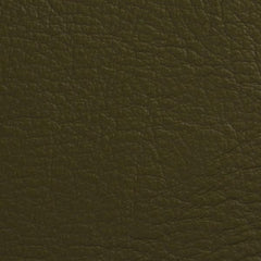 Dreamer Olive leather