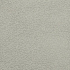 Dreamer Parchment leather