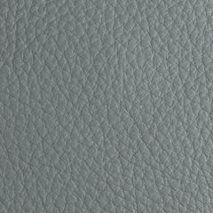 Dreamer Powder Blue leather