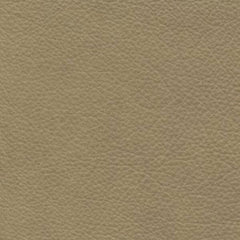 Evolution Bavarian leather