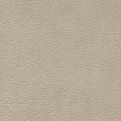 Evolution Pumice leather