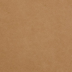 Ranger Biscotti leather