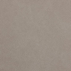 Ranger Limestone leather