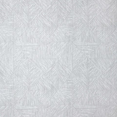 etch-silver leather