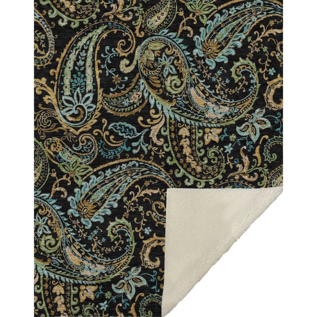 Paisley Black Washable Indoor-Outdoor Rug