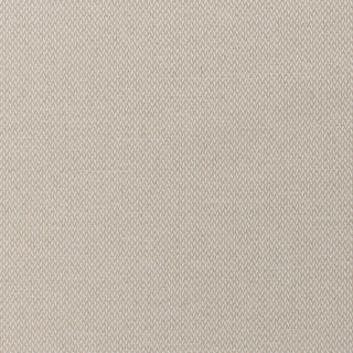 Zenith Oatmeal