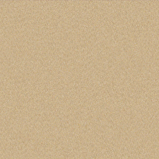Coastline Amber