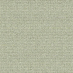 Coastline Spring leather