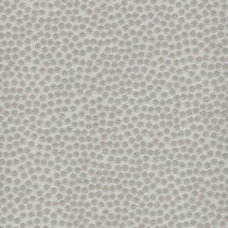 Kit Cat Light Gray