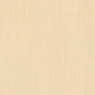 Replay Straw