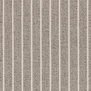 Cortina Carbon