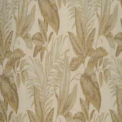 Botanic Willow