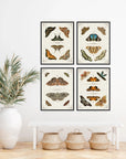 Butterfly Collection I Artwork Framed Canvas With Floating Frame Artwork LOOMLAN By LOOMLAN